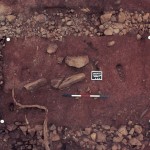 Aeriel view of MRS1 after excavation.