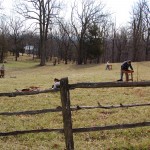 Archaeologists digging shovel-test-pits during the 2008 Monticello Plantation Survey field season.