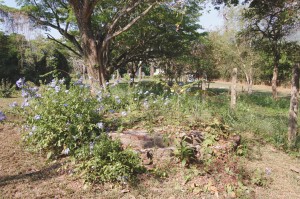 Well at the middle period Mona Great House, photographed May 2011.