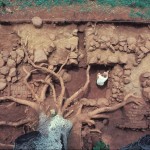 Arial view of Building o, along Mulberry Row, after excavation.