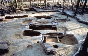 Overview of Richneck Slave Quarter site.