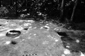 Overview of Richneck Slave Quarter site.