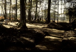 View of NAVAIR looking southwest; "East Trench" in foreground.