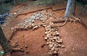 Sandstone and Greenstone Concentration