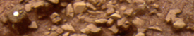 Background Header