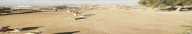 Background Header