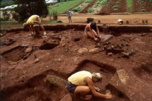 buildingt_negro_quarter