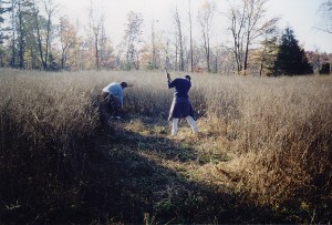 Panoramic view of 18CV344 prior to Phase I testing.