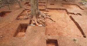 Overview of the Elizabeth Hemings Site Excavations