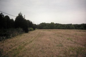 Pope site prior to excavation.