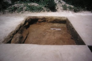 Remnant of cob wall in Feature 007, looking north.