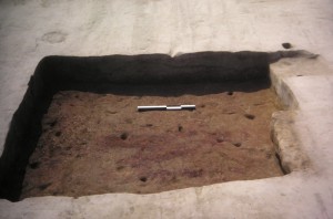 Feature 053, looking west.