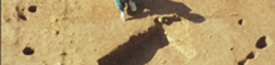 Background Header