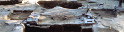 Background Header