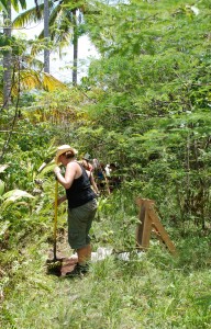 10_background_image_4