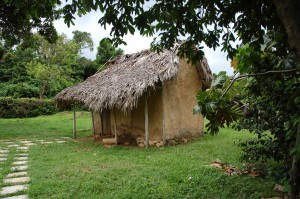 A reconstruction of an early-period wattle and daub slave house at Seville Plantation. This reconstruction was based on data recovered during Armstrong's excavations at Houses 15 and 16.
