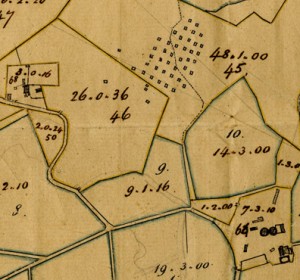 Detail of the 1799 plat, showing location of main house, village, and sugar works.