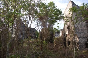 Ruin of Stewart Castle in 2007, looking north toward the ruins of the front stairs and entrance.