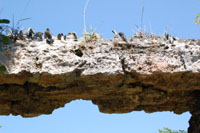 Detail of wine bottle glass mortared into top of courtyard wall