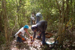 Students excavating a shovel-test-pit transect at the Stewart Castle village.