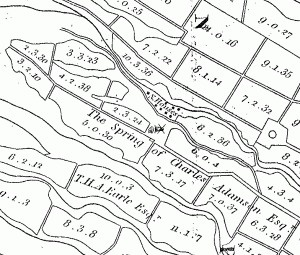 Detail of 1828 McMahon map showing slave village, windmill, and field associated with "The Spring of Charles Adamson, Esq."