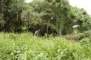 Anna Agbe-Davies setting up the total station at Jessups I, July 2006.