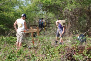 Excavators digging shovel test pits across Area 3 of New River I.