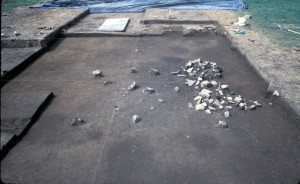 Top exposure of Feature 289, from the south.