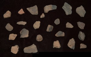 A sample of Afro-Caribbean ceramic sherds from STP 2 at Jessups II.