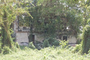 7_background_image_3