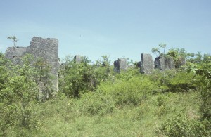 Ruin of the main house at Stewart Castle, taken in 2005, looking north from the road.