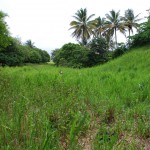 View of village at The Spring Estate, St. Kitts, looking north. July 2008.