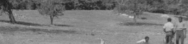 Background Header