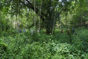 Three crew teams excavate three shovel test pits in Transect M of Area 1. Photographed by Hayden Bassett, June 2014.