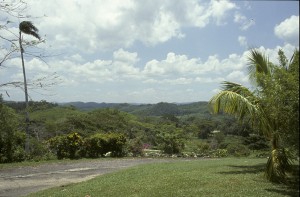 View of Cockpit Country from the terrace of the Good Hope great house. Photographed by Jillian Galle, March 2006.