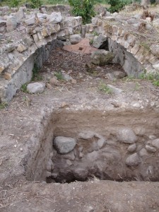 1-x-1 meter excavation unit (Test Unit A) under the Little Bay Cattle Mill arch. January 2006.