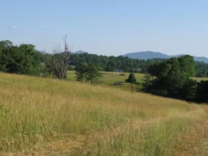 Wingos site overview, facing north.