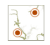 Site Information Query