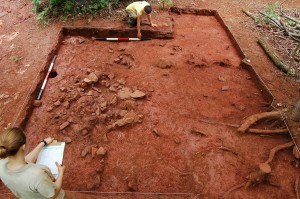 Expanded area around probable hearth of the Shadwell-era dwelling, looking west.