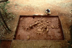 Stone rubble corresponding to a Shadwell-era dwelling, looking south.