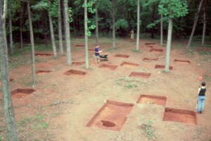 View of Site 7, showing stratified random placement of 5 x 5 foot quadrats.