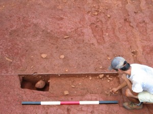 Feature 8 partially bisected, looking north.