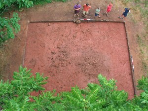 Aerial view of House 2, pre-excavation, looking south.