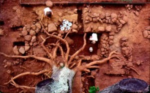 Overview of Building o