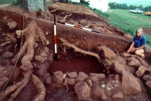 Profile of the large subfloor pit at Building o