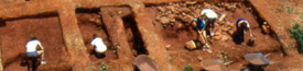 Background Header