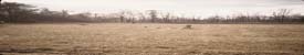 Background Header
