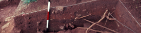 Background Header