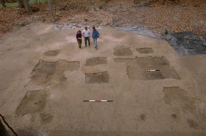 Photo of Structure 140 showing unexcavated subfloor pits