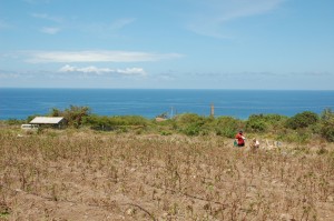 Looking east across the New River I Village toward the New River works and the Atlantic Ocean. Photograph taken May 2008.